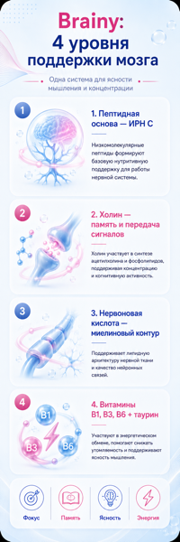 Brainy: 4 уровня поддержки мозга