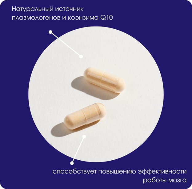 Капсула Tamotsu