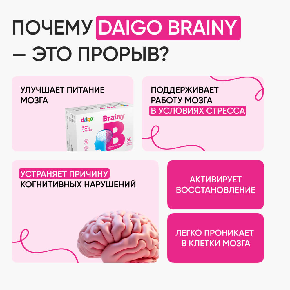 Daigo Brainy