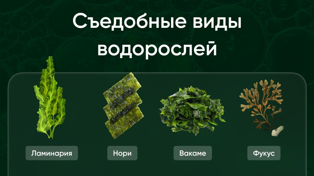 Хлорелла главный тренд 6.jpg