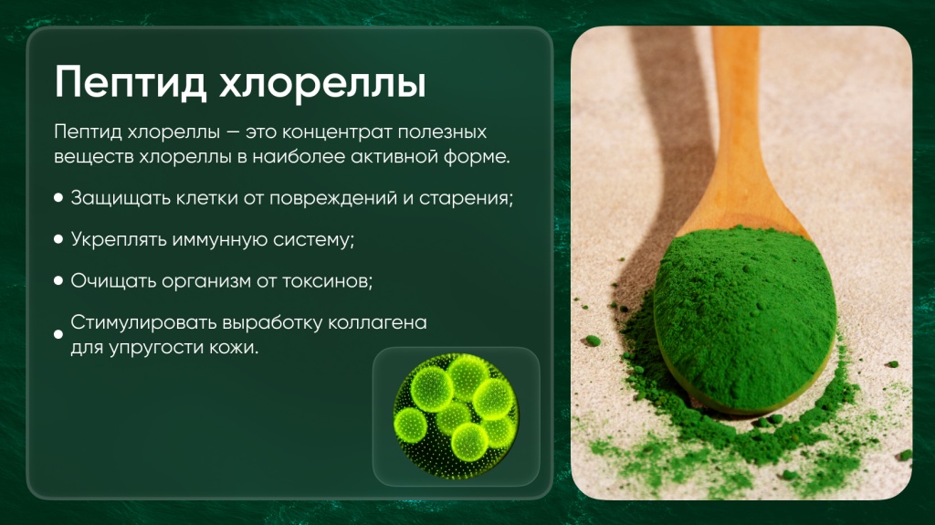 Про хлореллу 3.jpg