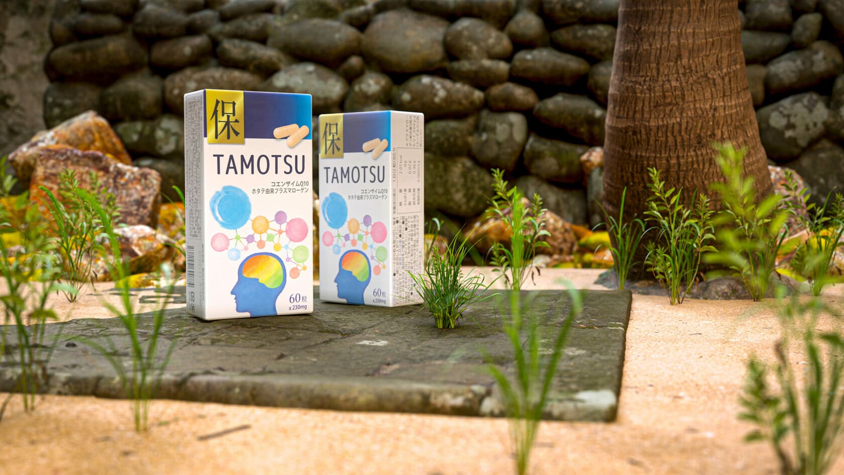 Исследование: эффективность перорального приёма плазмалогена Tamotsu (Тамоцу) Исследование: эффективность перорального приёма плазмалогена Tamotsu (Тамоцу)